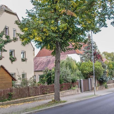 Pension Muldental Grossbothen Grimma Εξωτερικό φωτογραφία